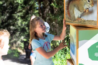 Golmis Forschungspfad at Erlebnisberg Golm | © Golm Silvretta Lünersee Tourismus GmbH Bregenz, Stefan Kothner Young girl looking at a cube tower with various information about life in the forest | © Golm Silvretta Lünersee Tourismus GmbH Bregenz, Stefan Kothner